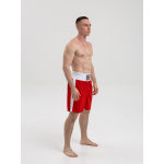 Шорты боксерские "Рэй-Спорт" Ф71